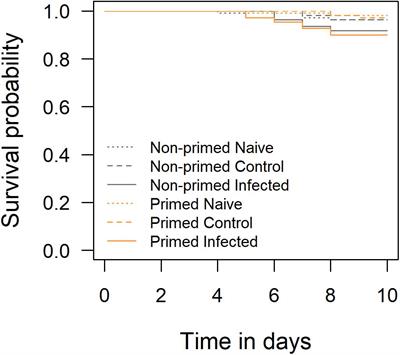 Exposure to Inactivated Deformed Wing Virus Leads to Trans-Generational Costs but Not Immune Priming in Honeybees (Apis mellifera)